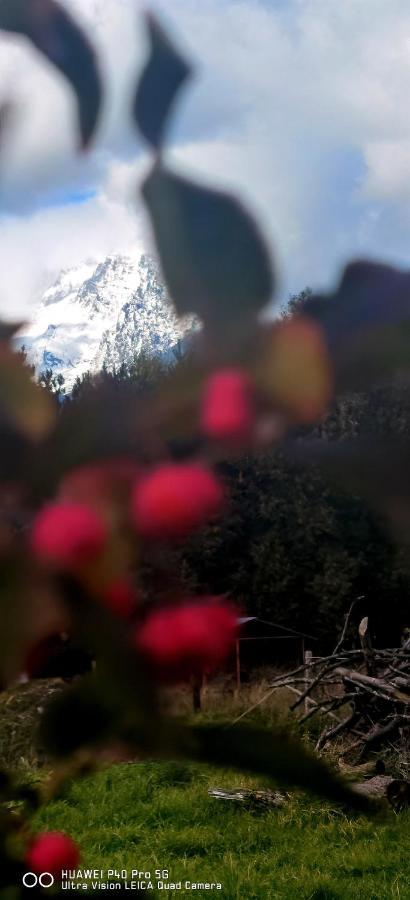 Mlyn Tatry Daire Veľký Slavkov Dış mekan fotoğraf