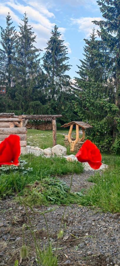 Mlyn Tatry Daire Veľký Slavkov Dış mekan fotoğraf