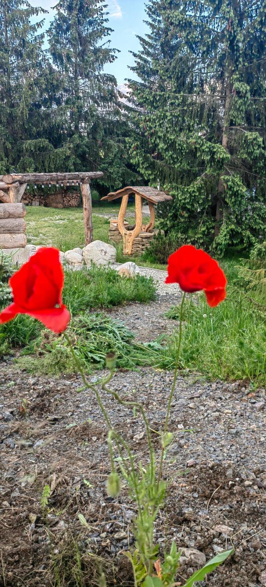 Mlyn Tatry Daire Veľký Slavkov Oda fotoğraf
